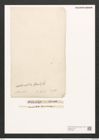 Nitzschia intermedia Hantzsch (de-Toni-Nr.: Genus 47, Species 2122) Zeichnungen Sammlung Grunow (NHMW-BOT-W0372226)